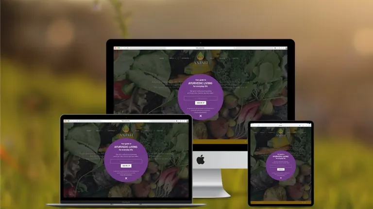 Website design for Anjali Ayurvedic Medicine