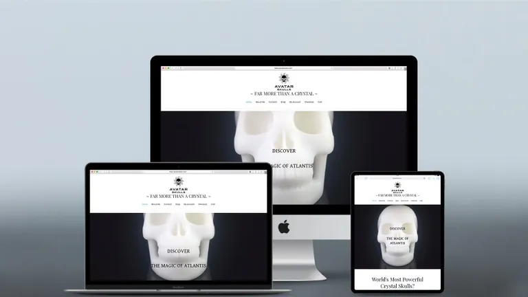 Website design for Avatar Skulls