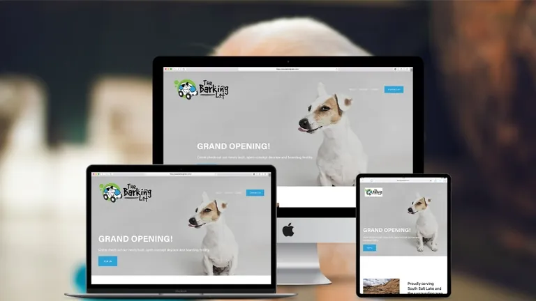 Website design for Barking Lots