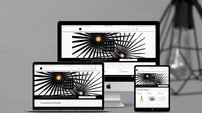Website design for Bela Luga Soko