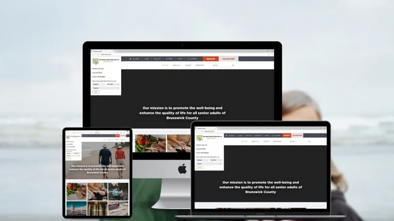 Website design for BSRI Corporate Site