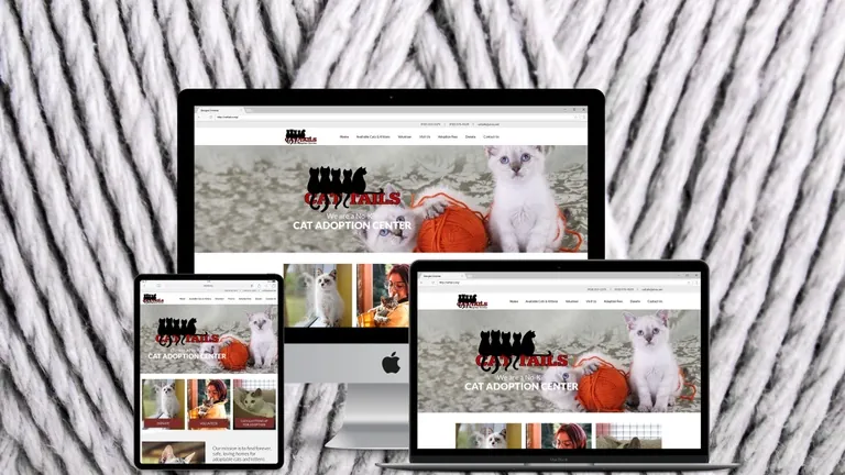 Website design for Cat Tails
