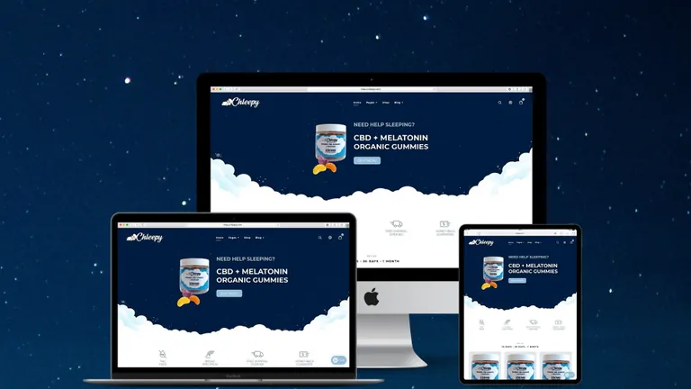 Website design for Chleepy