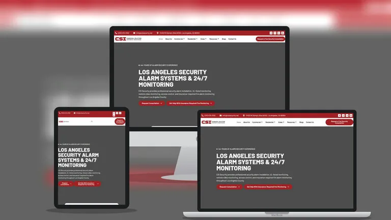 Website design for CSI Security