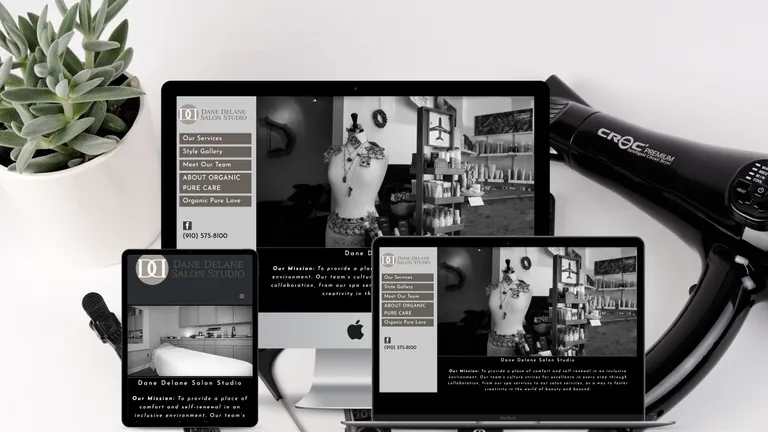 Website design for Dane Delane