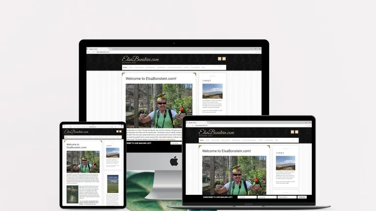 Website design for Elsa Bonstein