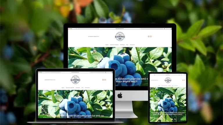 Website design for Great Blueberries
