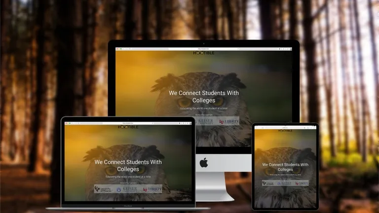 Website design for Hootible