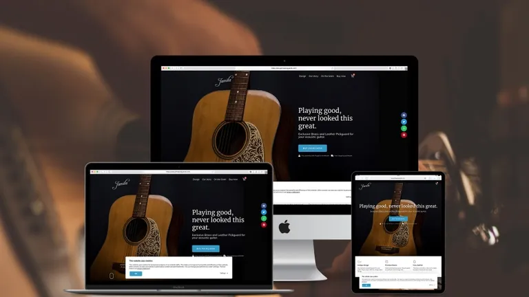 Website design for Jamila Pickguards