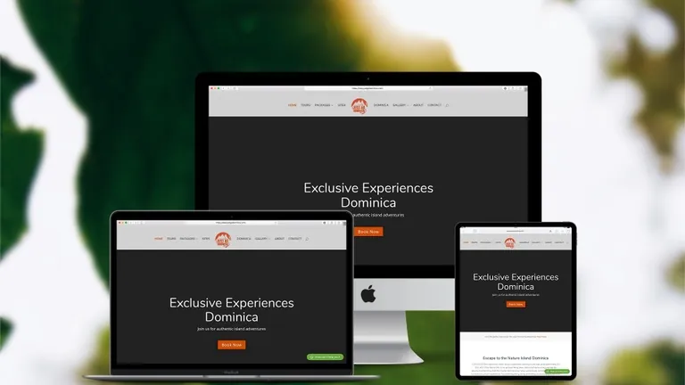 Website design for Just Go Dominica