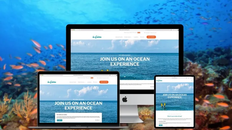 Website design for La Calma Diving
