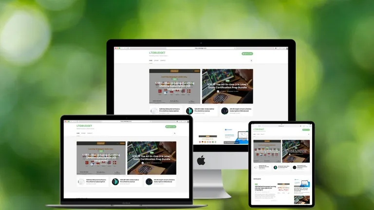 Website design for LTD Budget