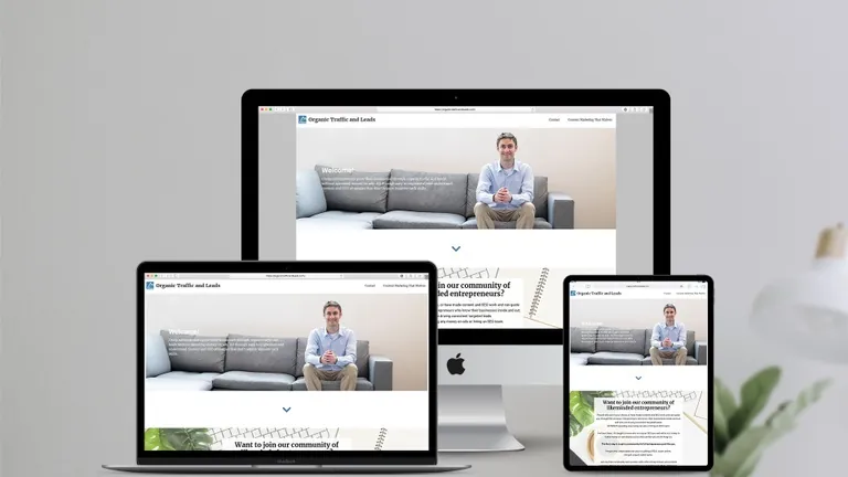 Website design for Organic Traffic and Leads
