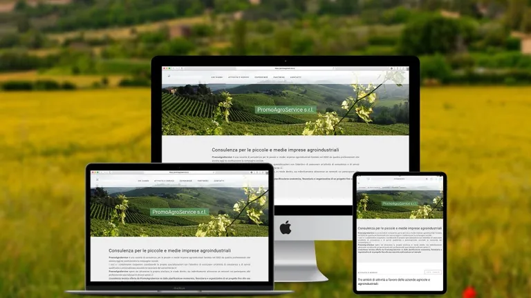 Website design for Promo Agro Service