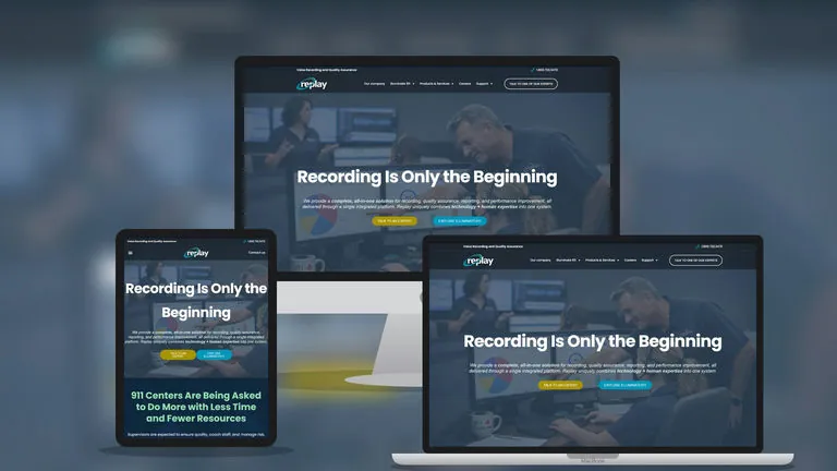 Website design for Replay Systems