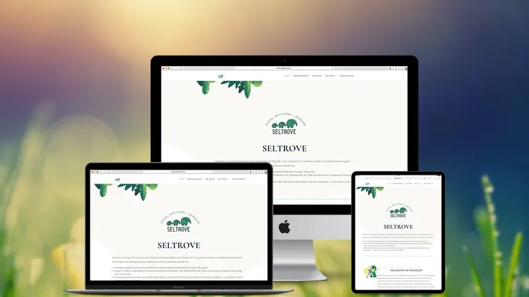 Website design for Seltrove