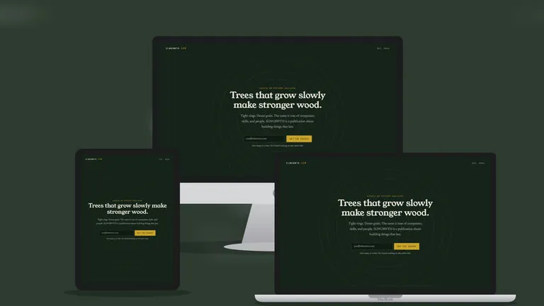 Website design for Slw Grwth