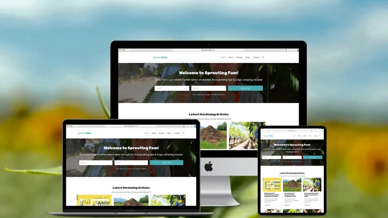 Website design for Sprouting Fam