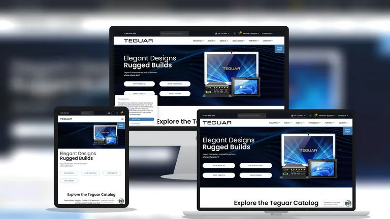 Website design for Teguar Computers