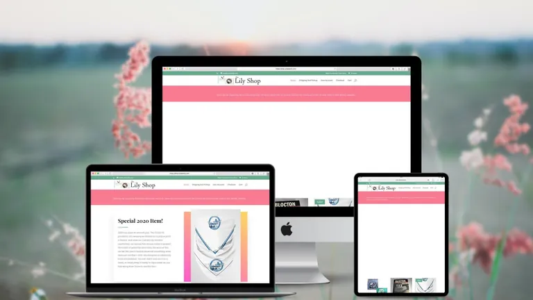 Website design for The Lily Shop