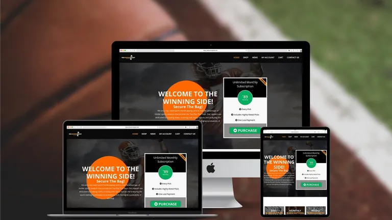 Website design for The Winning Side
