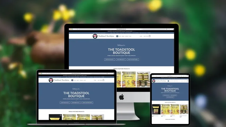 Website design for Toad Stool Boutique