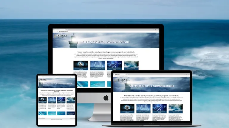 Website design for Trident Security