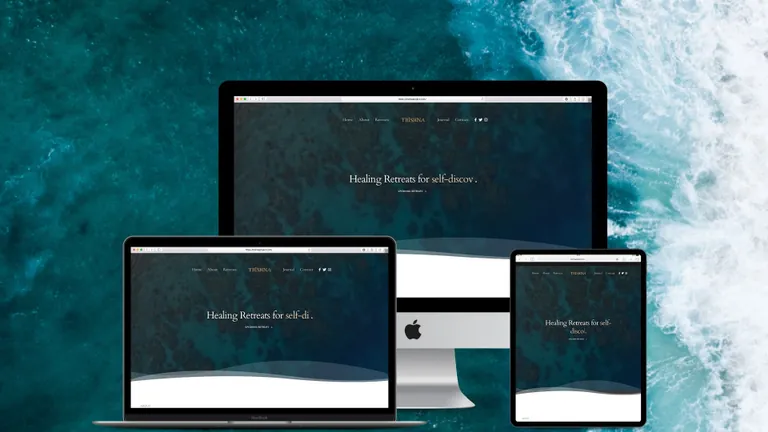 Website design for Trishna Project